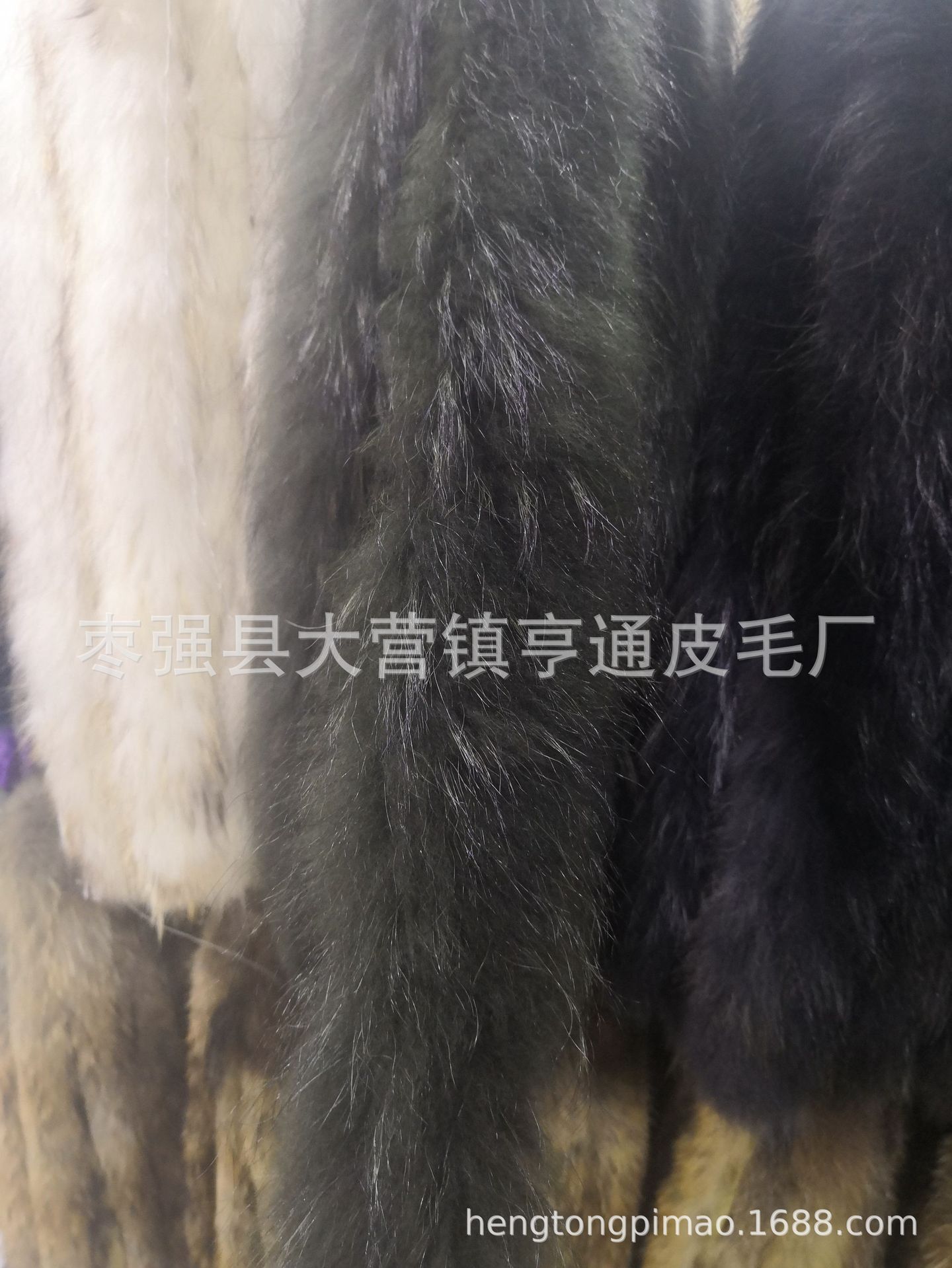 新建文件夹 (2)IMG_20190721_135603