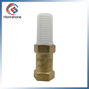 ��h�~�y�T �S�~���y DN20 DN40 �����ϾW ��ʽֹ���y Foot Valve