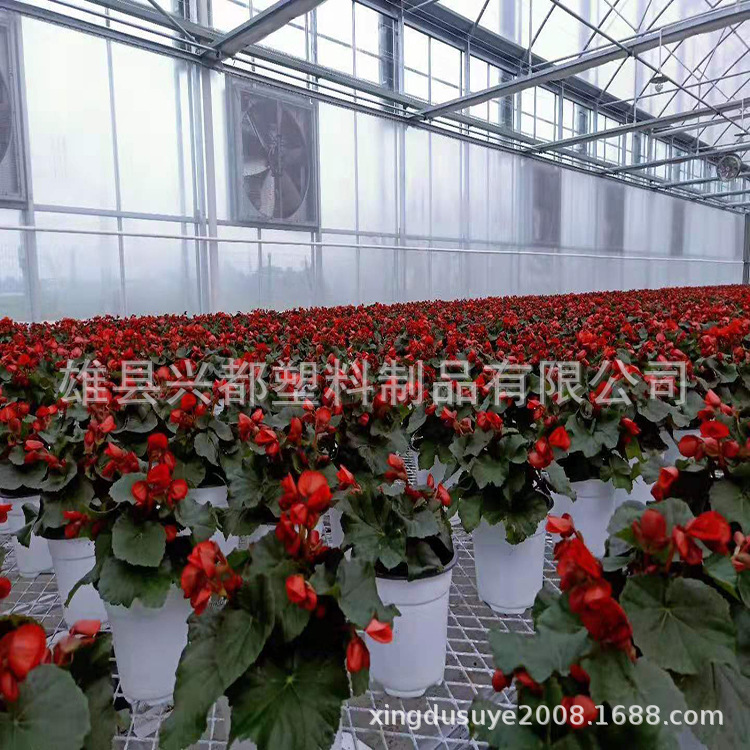 微信图片_20190731114849