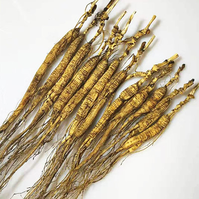 Jilin Northeast Specialty Changbai Mountain Ginseng Forest Senate 10 Years or so Ginseng seeds year Wild ginseng Paojiu material