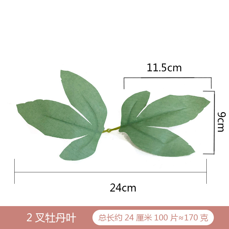 蕨叶