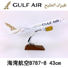 43cm��֬�w�Cģ�ͺ�������B787-8�������շ���͙C��ģ�wģ�YƷ