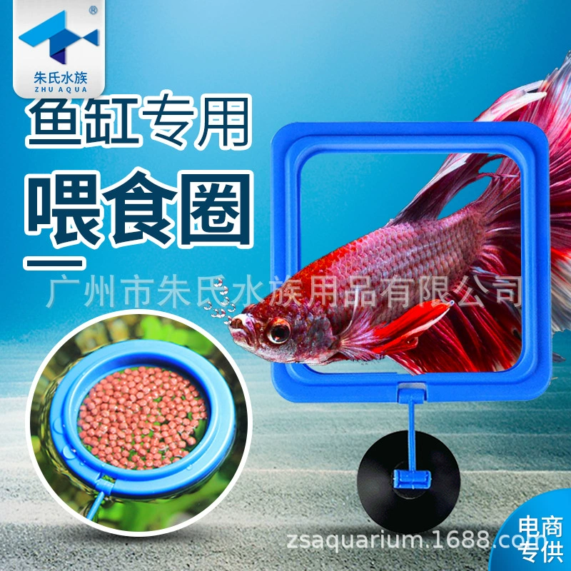 Подвесное аквариумное устройство для кормления аквариумных аквариумов