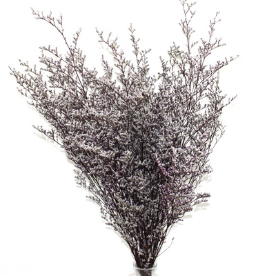 永生花干花花束真花天然情人草装饰艺术插花100g干花新鲜满天星|ru