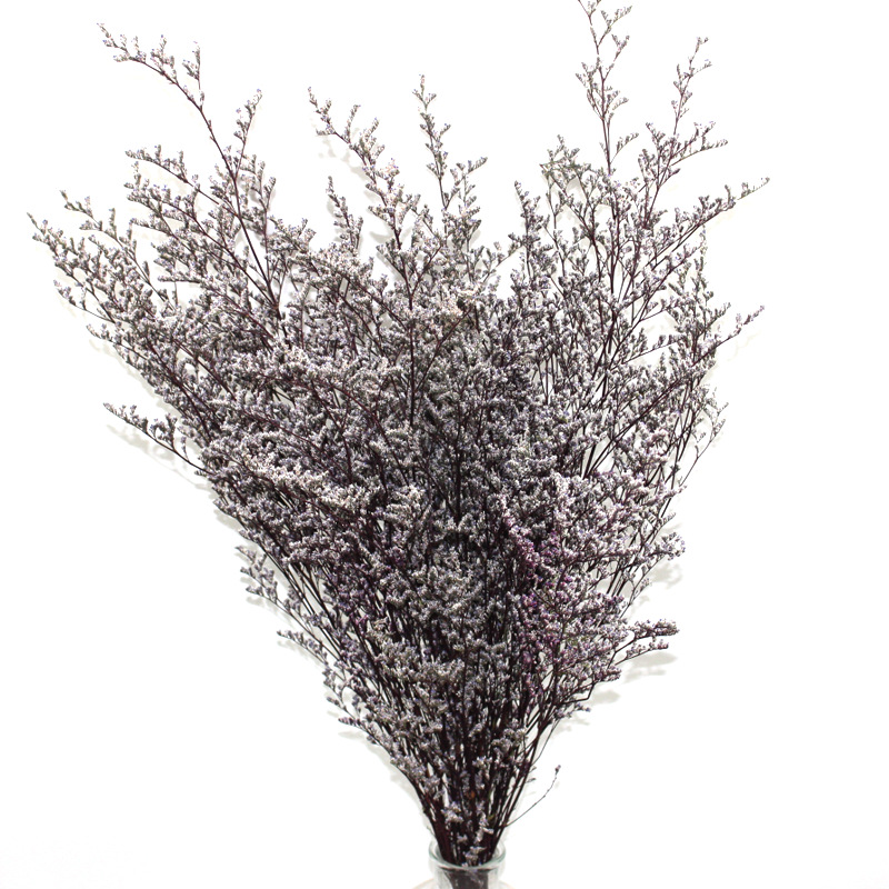 永生花干花花束真花天然情人草装饰艺术插花100g干花新鲜满天星|ru