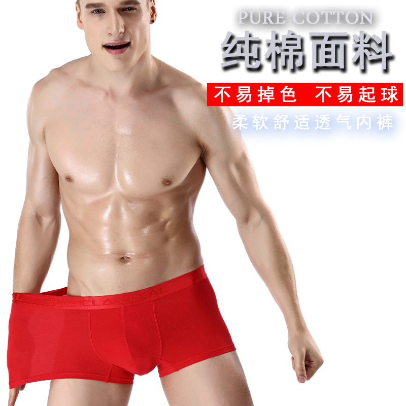 Fabricantes de ropa interior para hombres populares de color sólido ropa interior de algodón boxers en caja pantalones cortos calzoncillos de cabeza boxeadores al por mayor transfronterizos