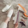 学生春季女士新款单鞋