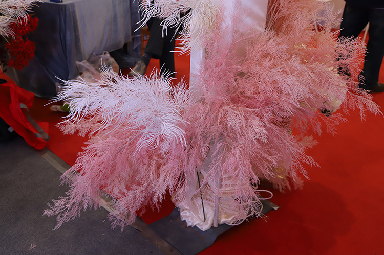 凤尾草 效果图4.jpg