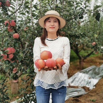 fresh On behalf of Yunnan Zhaotong Ugly apple Yanyuan Gansu Shaanxi Xinjiang Fruit drop Sweet Heart Apple crisp