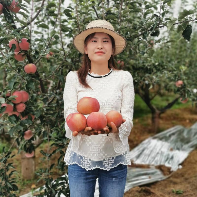 fresh On behalf of Yunnan Zhaotong Ugly apple Yanyuan Gansu Shaanxi Xinjiang Fruit drop Sweet Heart Apple crisp