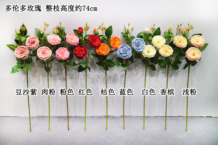 多伦多玫瑰 色卡 宋体.jpg