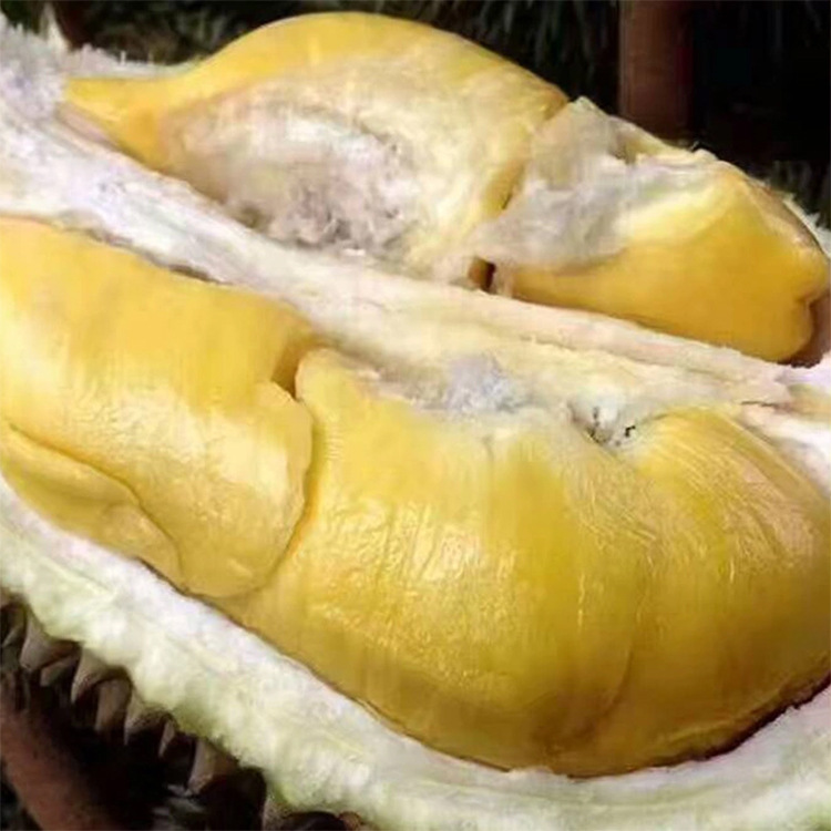 泰国甲伦榴莲热带应季水果果肉状似奶油香味浓郁入口即化一件代发