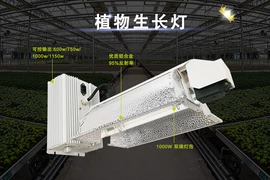 气体放电灯;植物生长灯;花盆容器