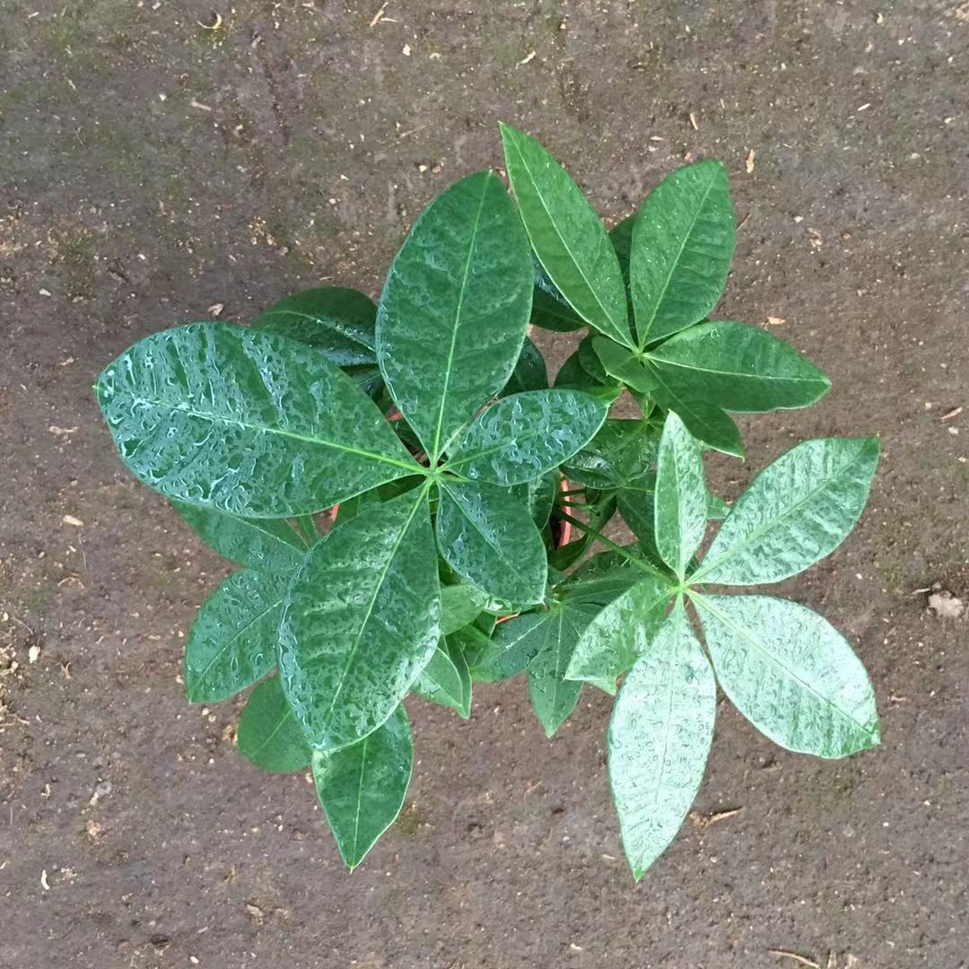 微信图片_20190312234300