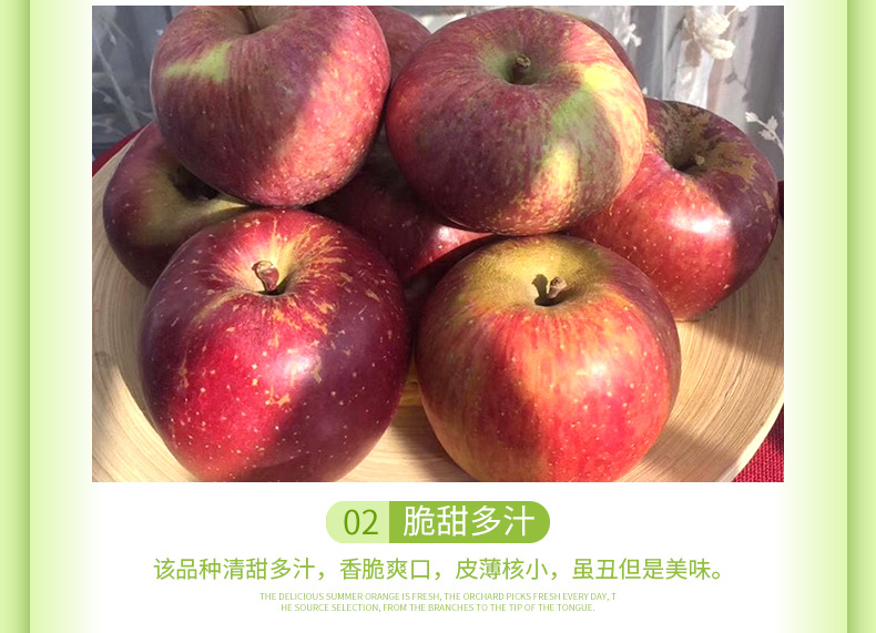 大凉山丑苹果_05.jpg