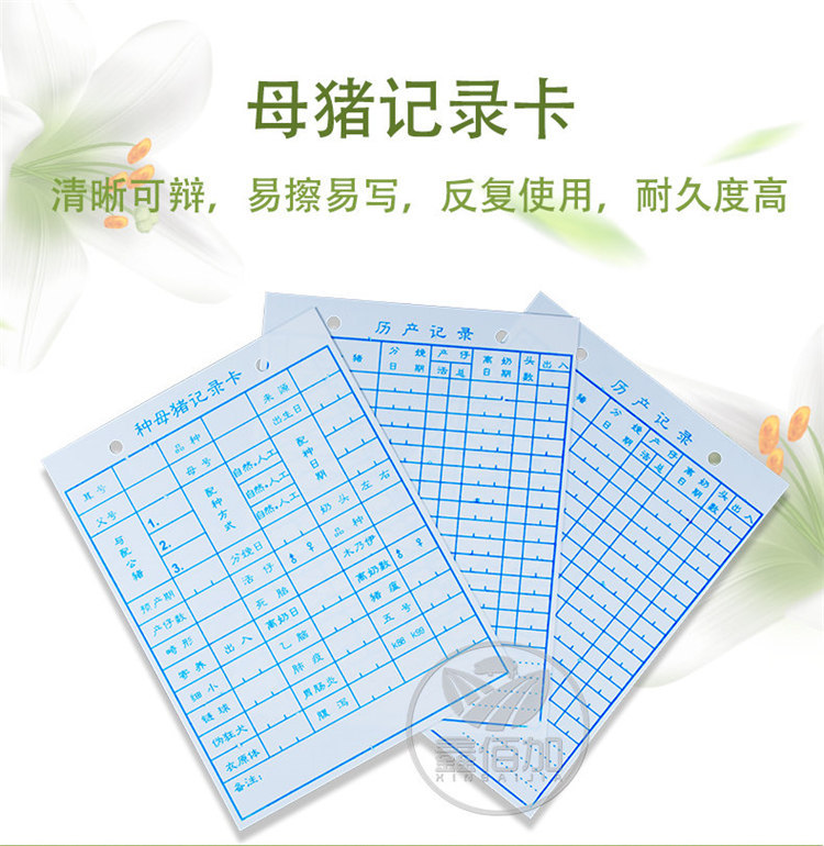 母猪记录卡C详情页 (1).jpg