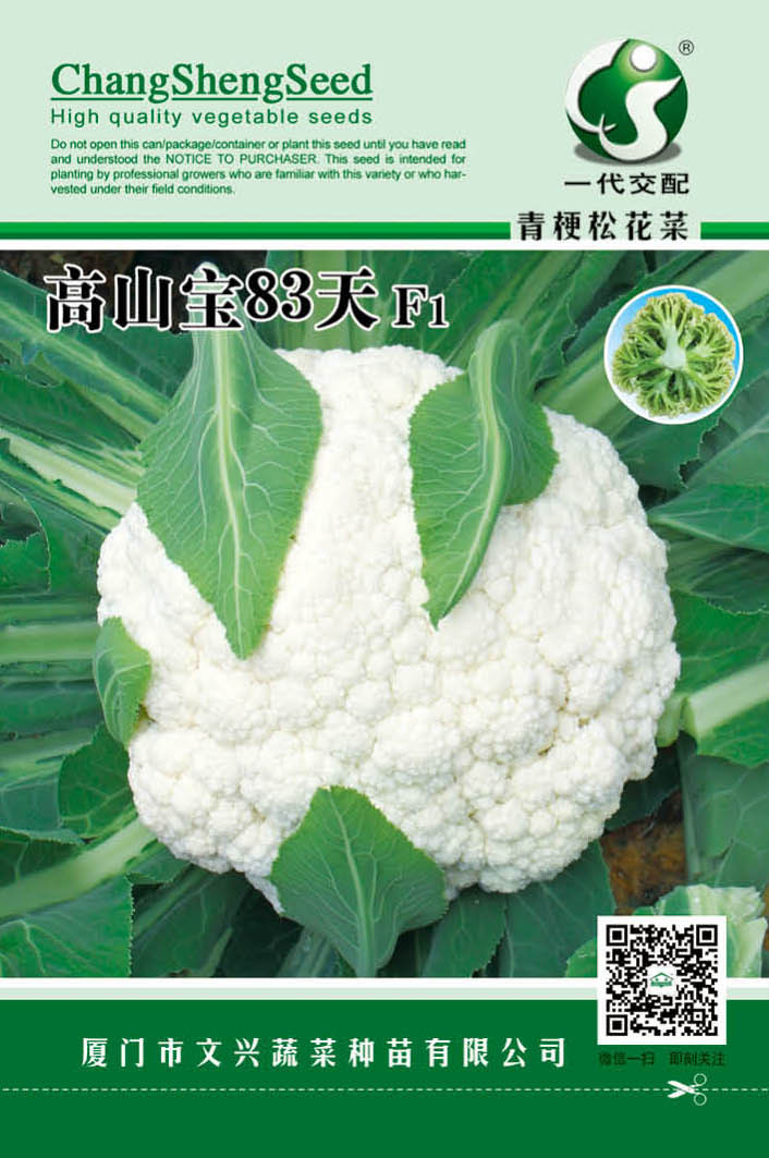 高山宝83天松花菜种子 耐寒耐温差 市场畅销  文兴种苗 蔬菜种子