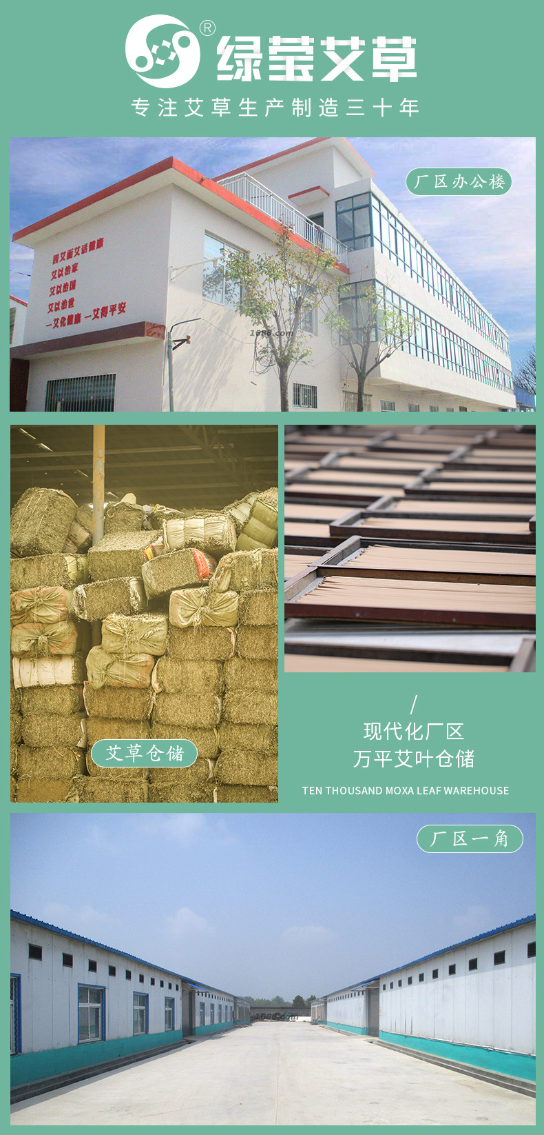 Bai Xian Pi Dried Herb 白鲜皮 Dictamnus Root Bark Traditional TCM Herbal Ingredient in use