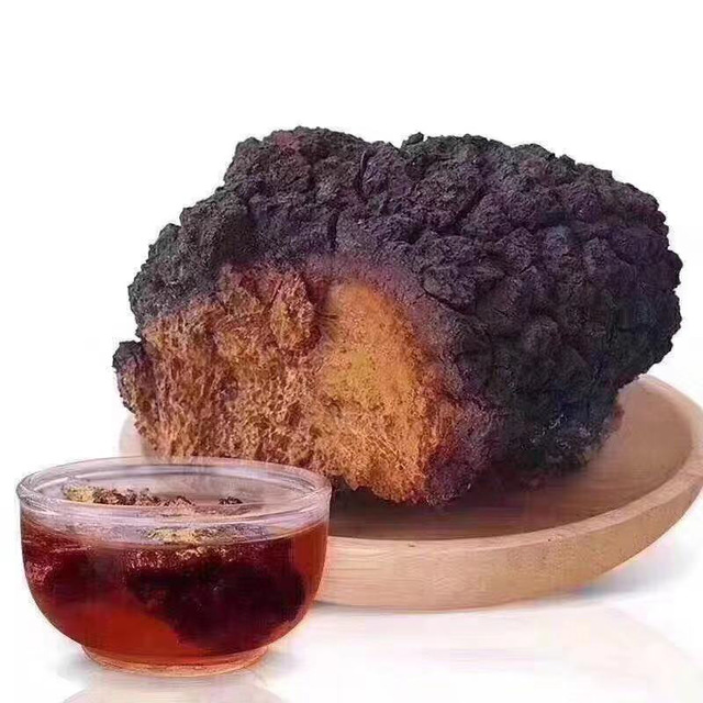 野生桦褐孔菌桦树泪白桦茸黄灵芝桦树茸桑黄菇菌茶正品白桦茸