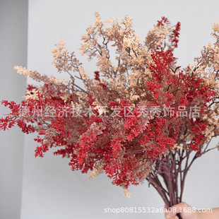 �ٻ�����ɽ֦�������Fڡ��ѩ�ɲ��仨ֲ����ߙ����F�����˻�c