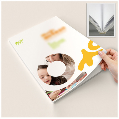 企业宣传册定制 产品说明书创意设计 精装画册 书本画册设计定做|ru