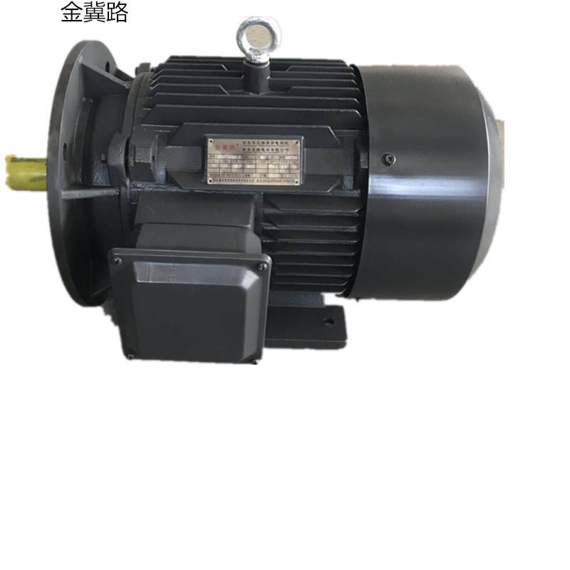 厂家供应三相异步电动机11KW-2极立卧式国标.风机.机械设备用电机