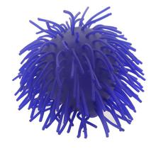 ͨܛzlйpпɐ۞ڹSֱN