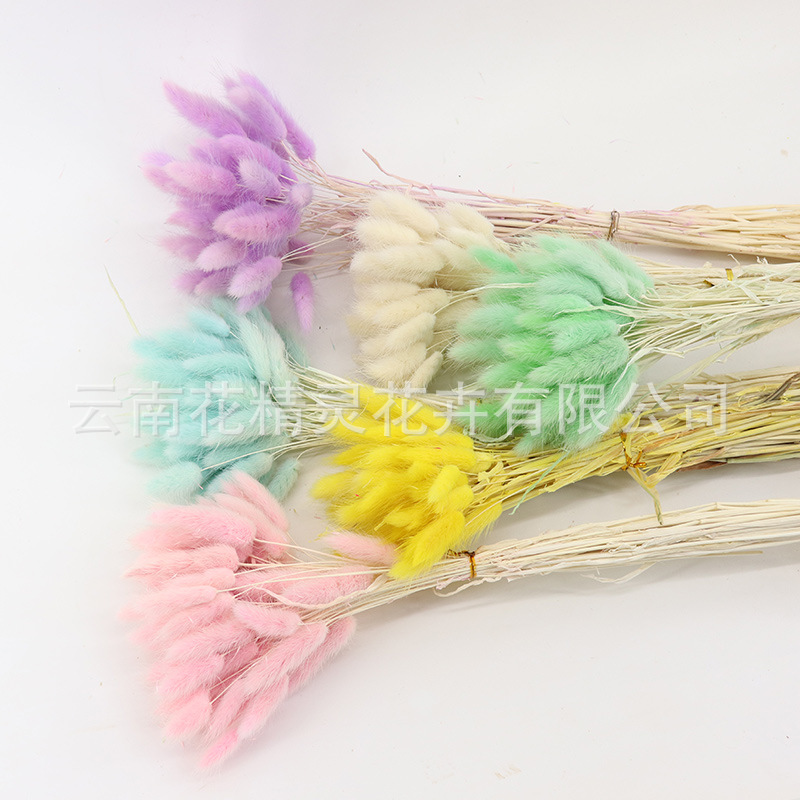 Rabbit Tail Grass Dried Flowers Bouquet Ins Style Home Decoration Dried Flower Bag Bouquet Dogtail Grass Dried Flower Color Rabbit Tail Grass