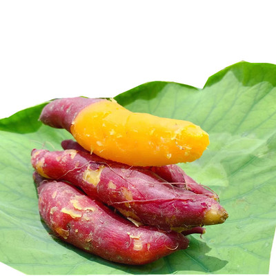【临安中薯1斤约5-8个】天目山蜜薯类板栗红薯产地货源CNTH5