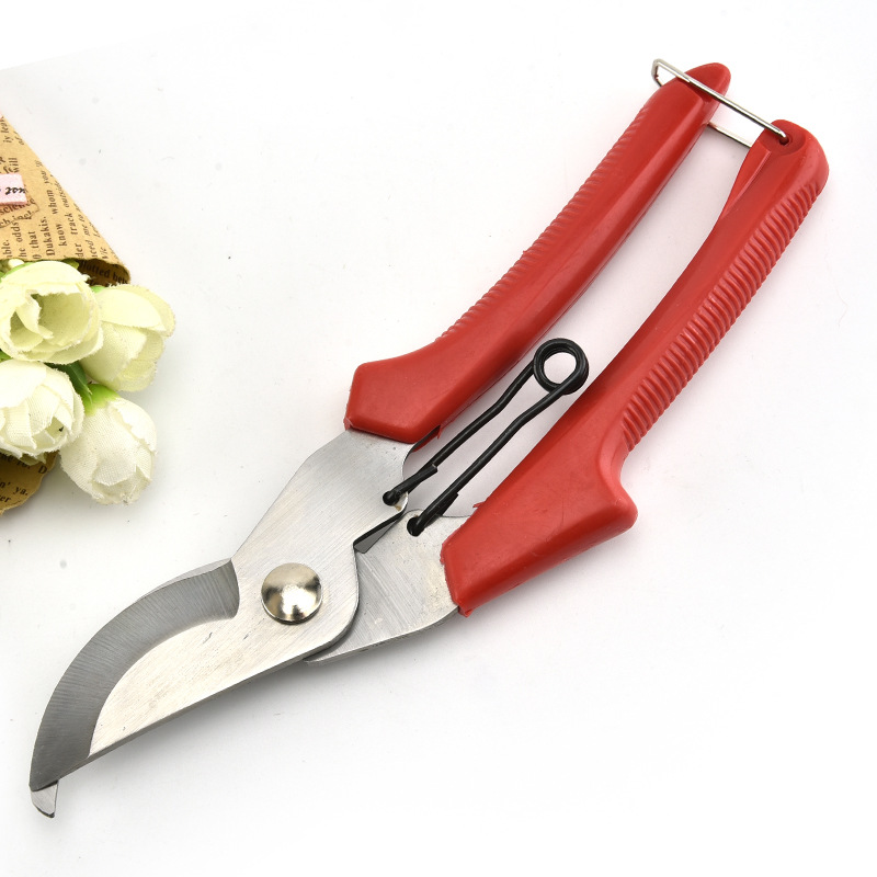Garden stainless steel branches and cutting saving fruit trees and…