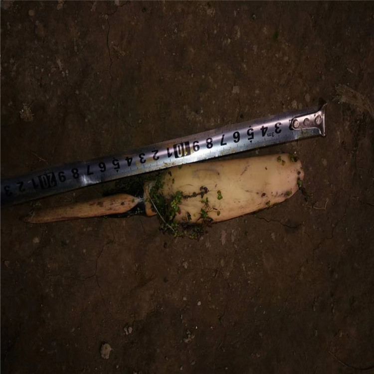 微信图片_20190924001623