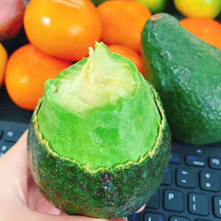 Mexico Chile Avocado Taste aroma Mellow fresh Season fruit Avocado One piece On behalf of