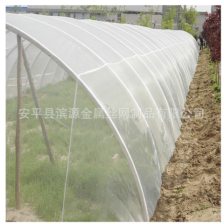 防虫网 尼龙网 PE抗老化防虫网 蔬菜大棚网蝗虫网量大优惠