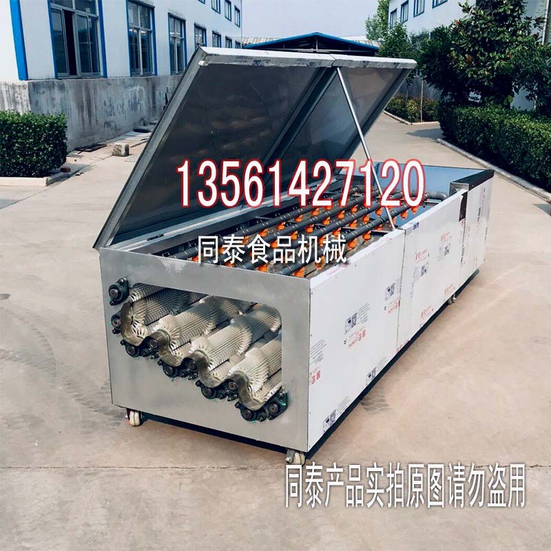 4出口萝卜清洗机