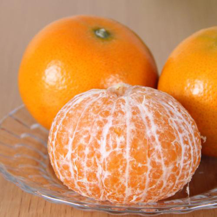 云南高原沃柑山地种植皮薄汁多口感甜蜜微酸果肉细嫩化渣1件代发|ru