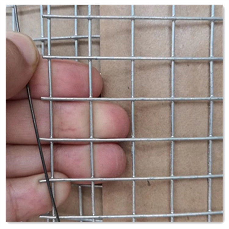 热镀锌电焊网小孔钢丝防护网铁丝网格养殖鸡防鼠网蛇鸟鸽子家用网