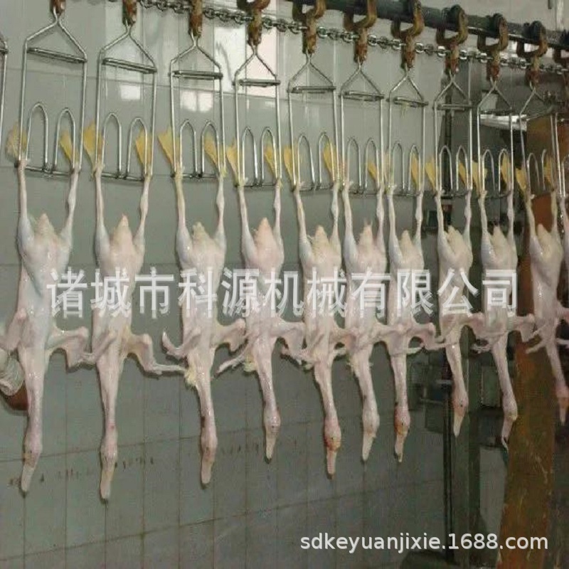 鸡鸭鹅屠宰设备 家禽屠宰大型屠宰流水线设备 肉鸡脱毛流水线