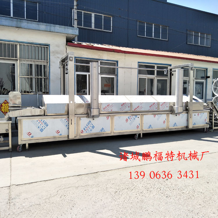 全自动油炸机|连续式自动油炸机|肉制品自动油炸机1