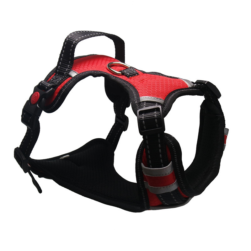 Dog Harness Image 2
