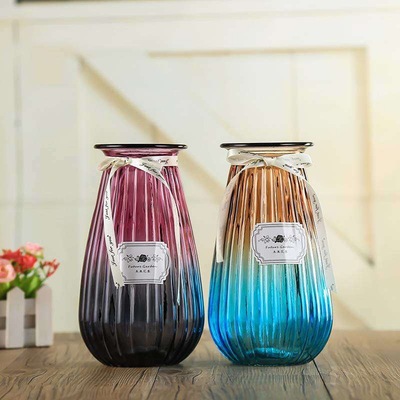 New Creative ins Bars vase Glass Home Furnishing decorate Glass transparent Hydroponics flower arrangement Dried flowers vase