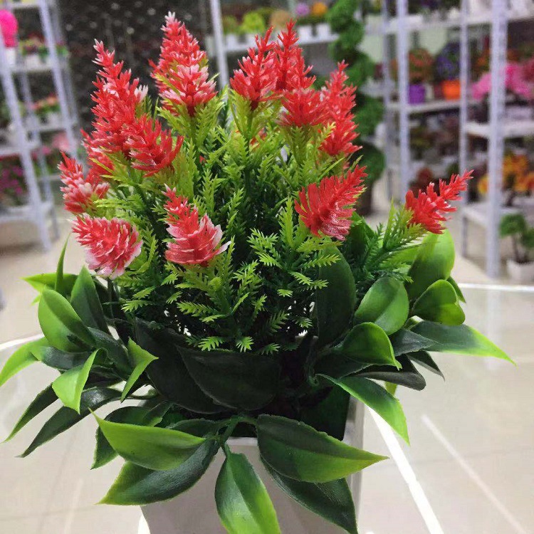 微信图片_20190302215558