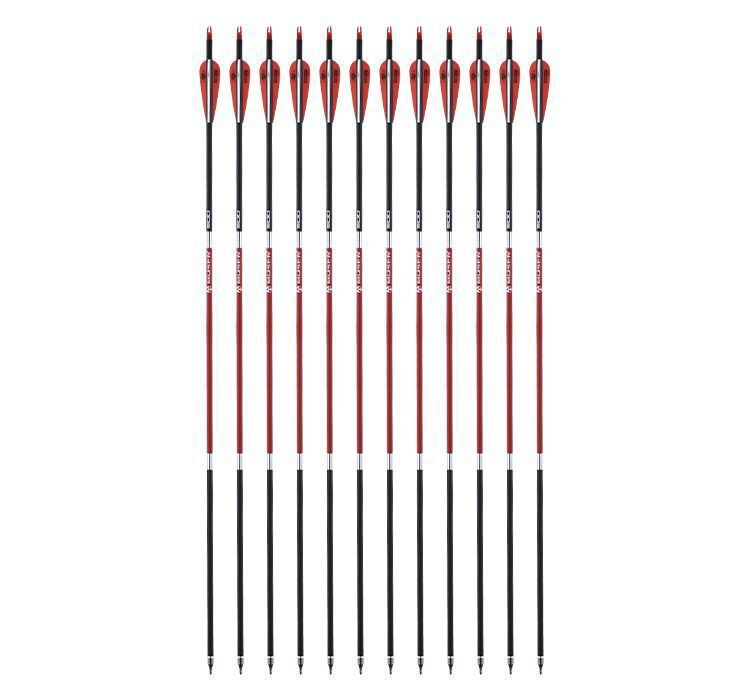 QQ图片20190304152045