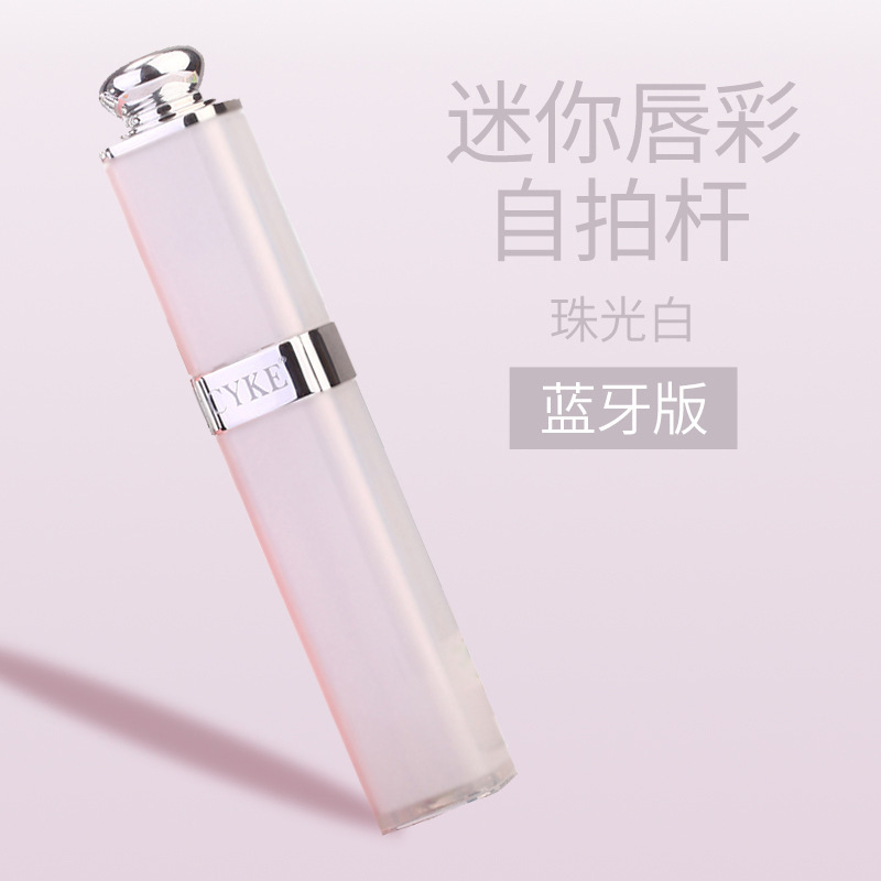 Bâton selfie en Acier inoxydable - Ref 3387267 Image 9