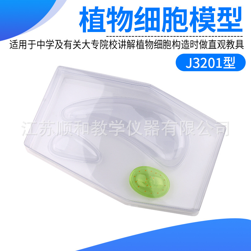 植物细胞模型J3201型讲解植物细胞构造仪器初高中科学实验器材