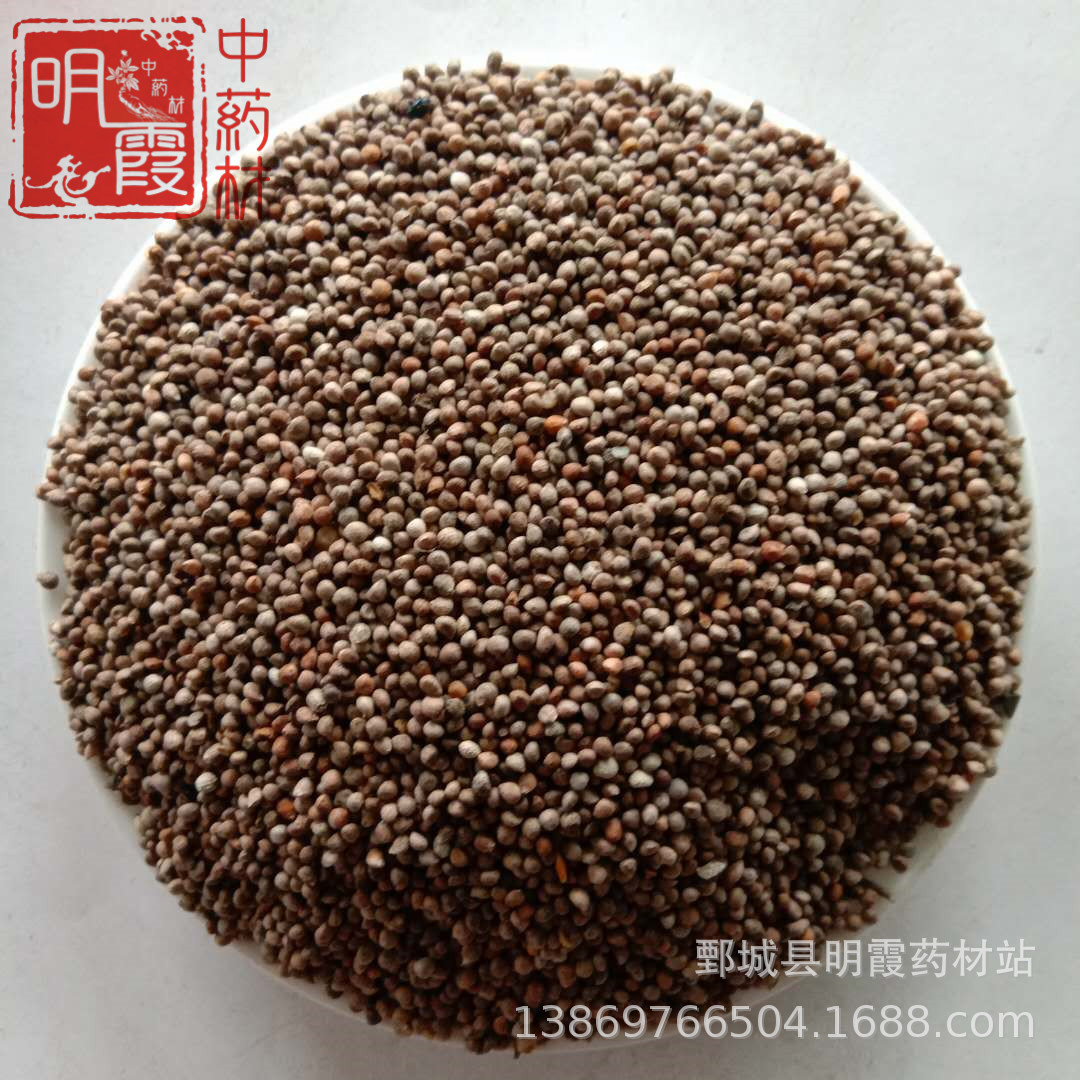 明霞药材 苏籽【紫苏子】1000克批发零售 供应中药材