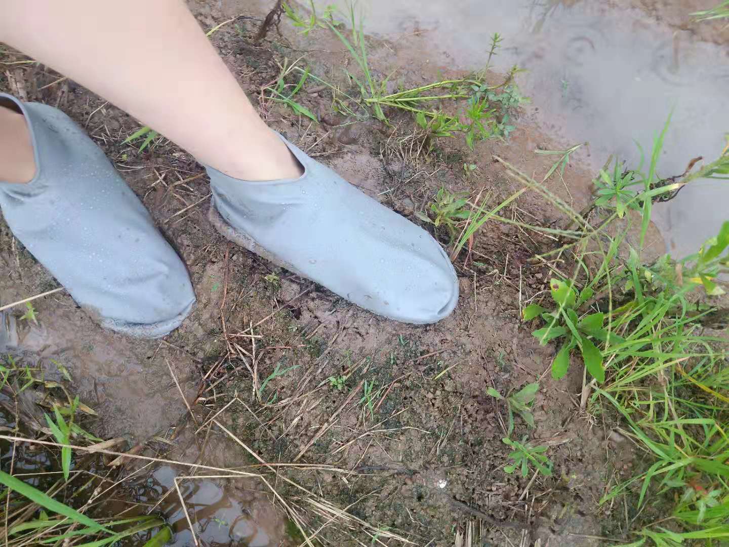 微信图片_20190712000826 - 副本