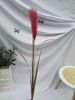 Single reed simulation Reed Potted Plant Simulation Dog Tail Bar Reed Indoor Decoration Green Plant Network Red Reed Cross -border