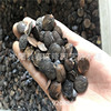 The physical store wholesale wisteria seed climbing vines, vine, vine yellow ring seeds high sprout rate