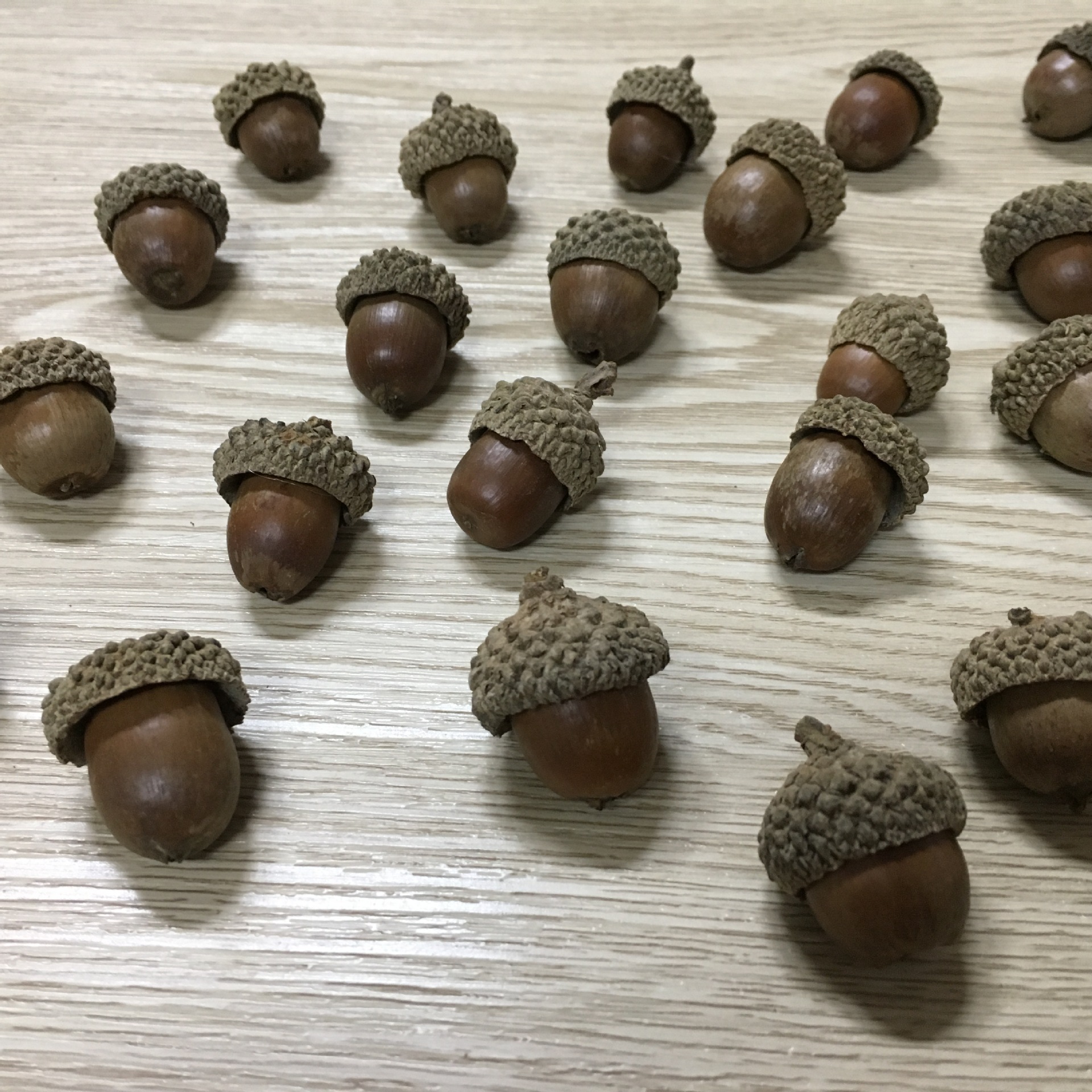 橡果天然橡子壳橡果帽森女系diy手工材料天然干花干松果复古道具-阿里巴巴