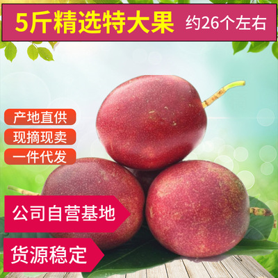 广西新鲜水果高山百香果鸡蛋果西番莲产地直供5斤3斤批发一件代发